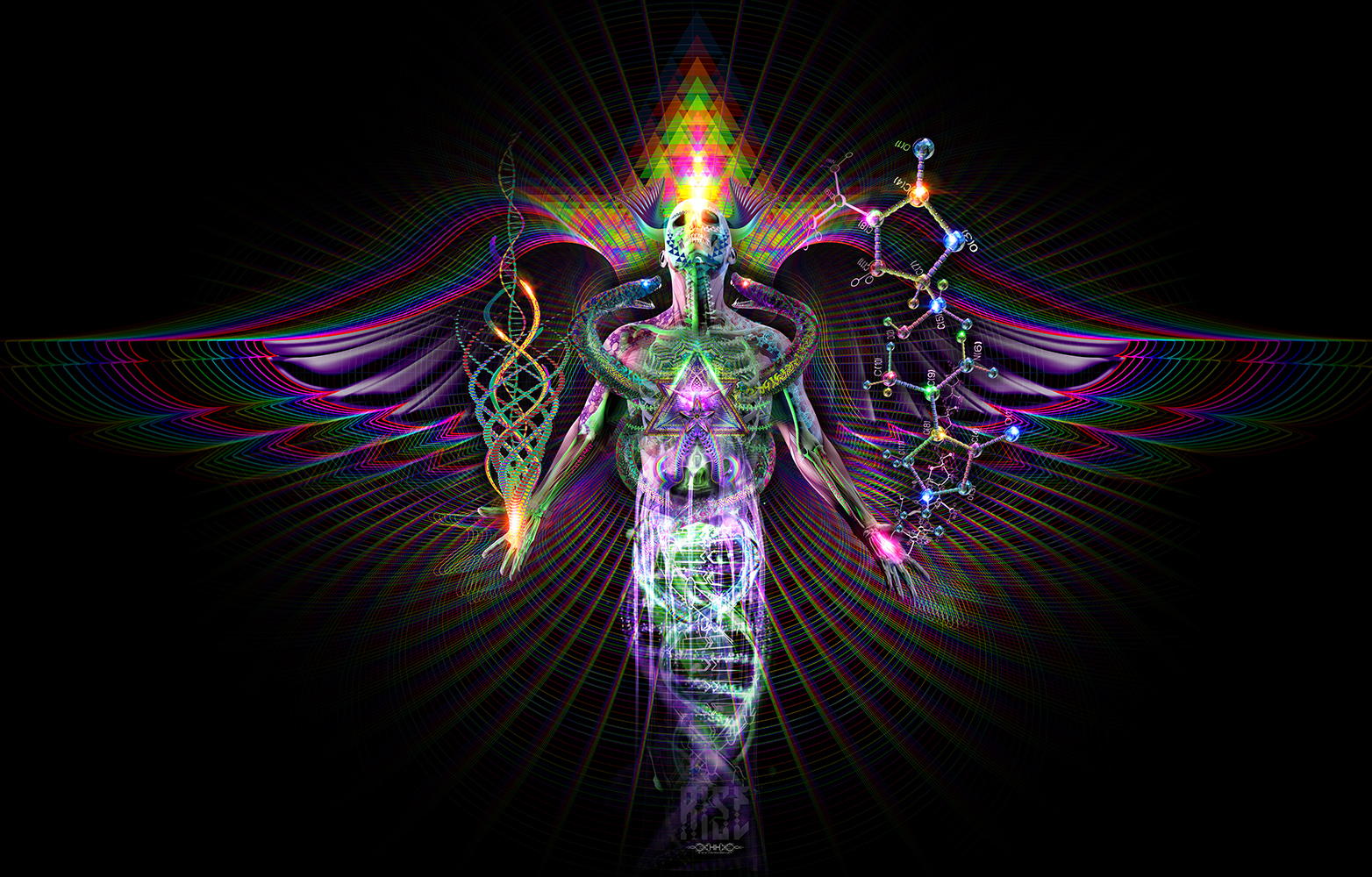 Rise
