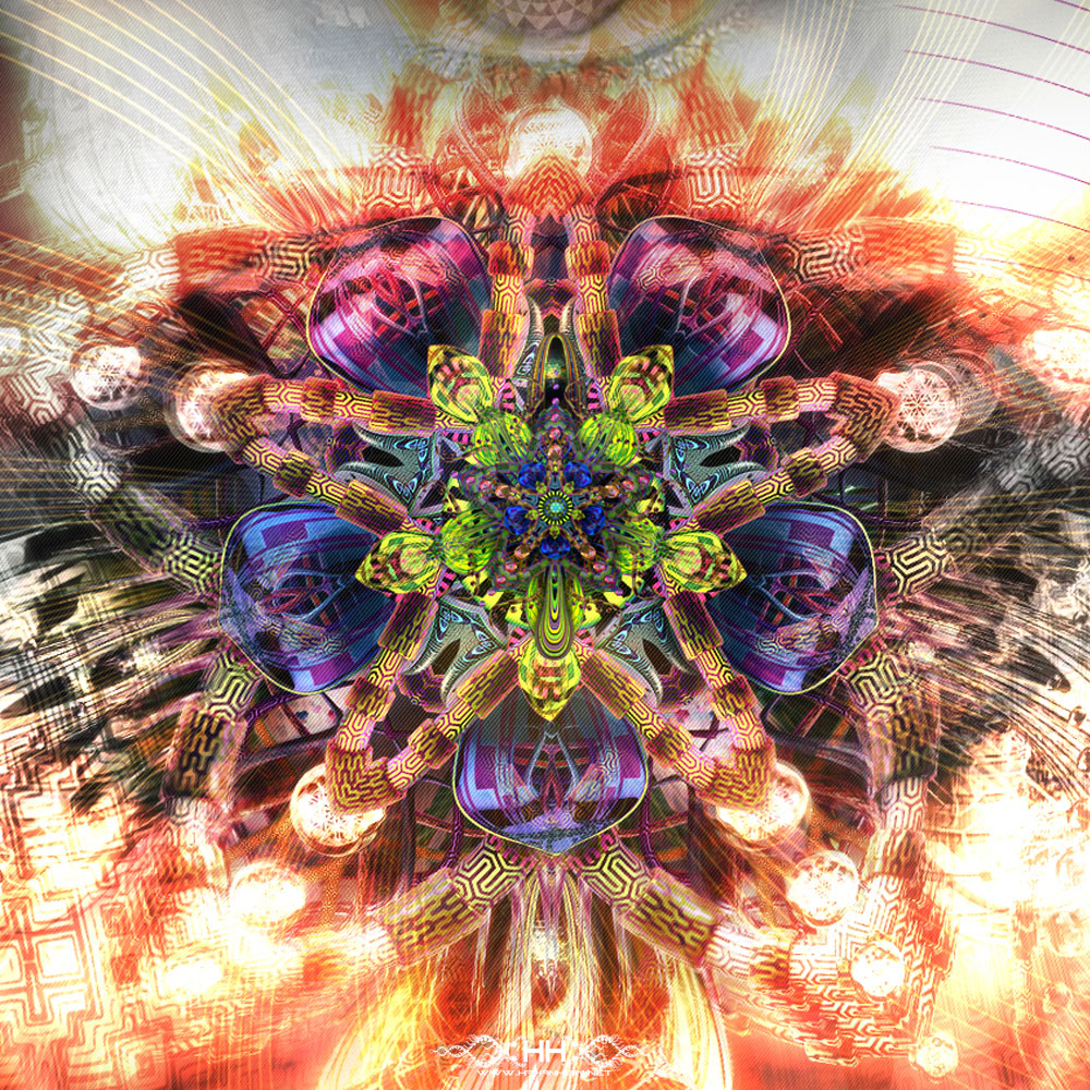Awaken detail 1