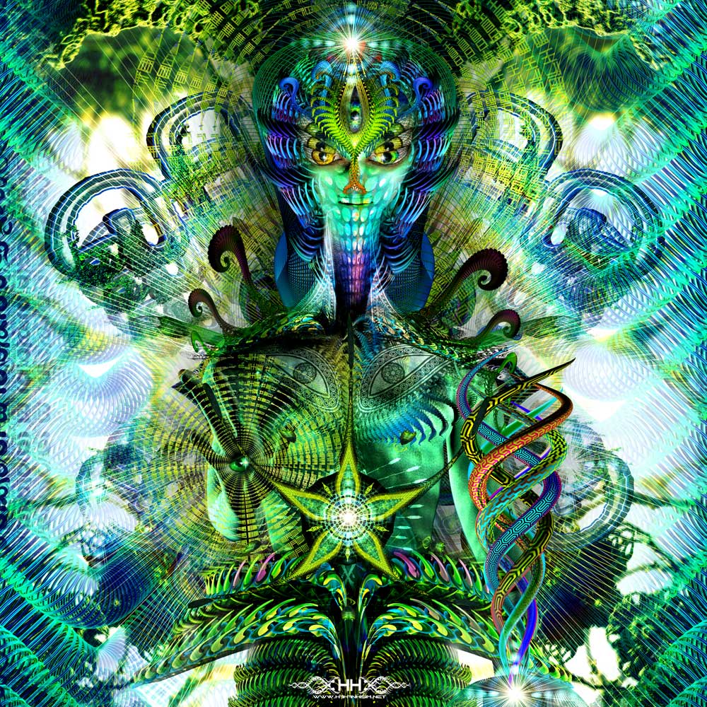 Contact detail 7