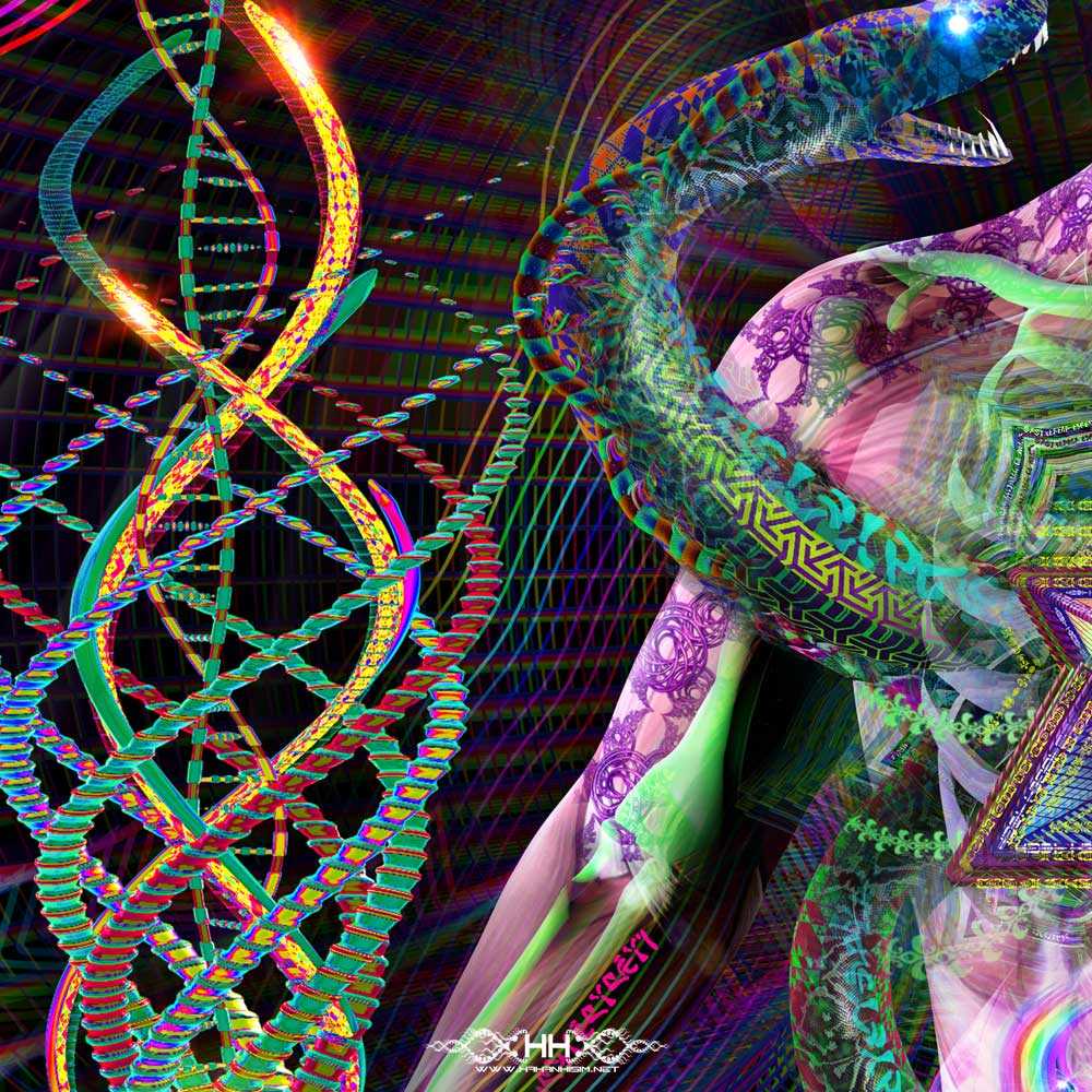 Rise detail 14