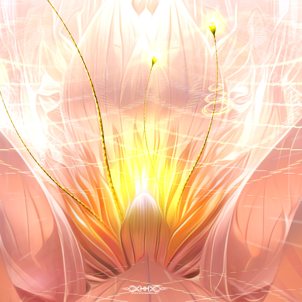 Lotus Born detail 2