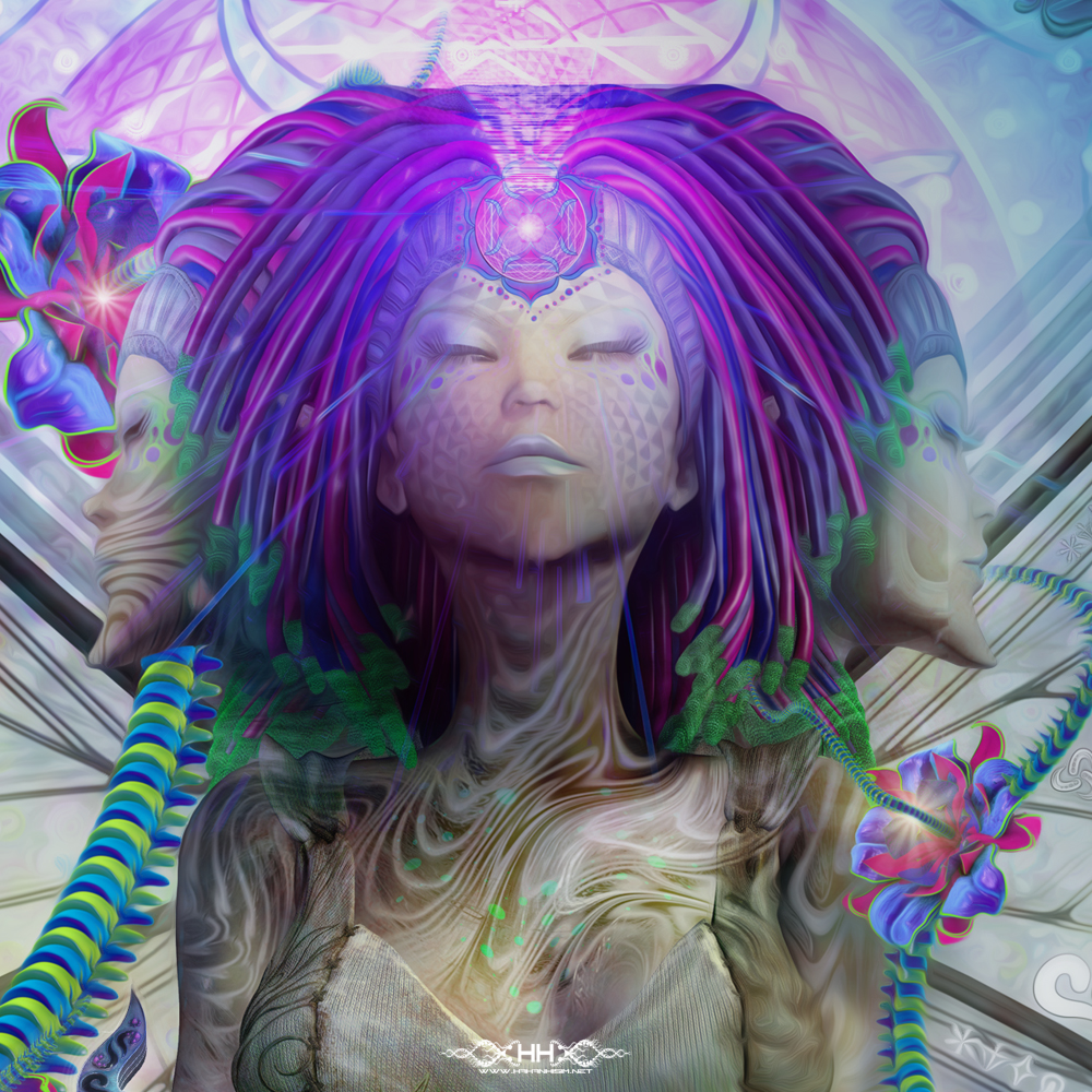 Meta Morph detail 7
